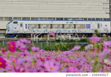 281 series Kansai Airport Limited Express Haruka x Cosmos 281 series Kansai Airport Limited Express Haruka x Cosmos 108440927