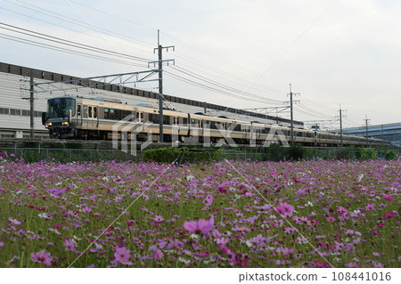 223 series and cosmos 223 series and cosmos 108441016