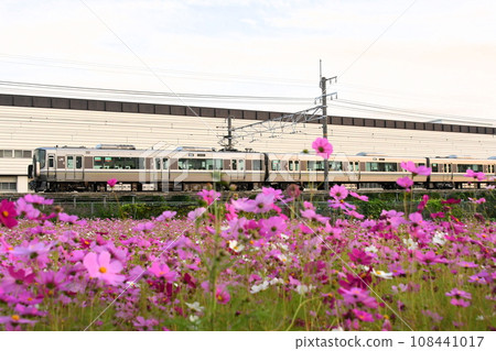 223 series and cosmos 108441017