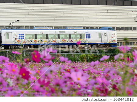 271 series Kansai Airport Limited Express Haruka x Cosmos 108441018