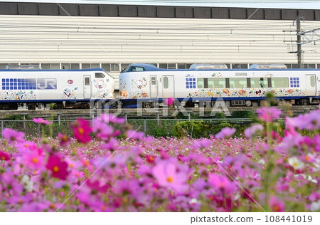 281 series + 271 series Kansai Airport Express Haruka x Cosmos 281 series + 271 series Kansai Airport Express Haruka x Cosmos 108441019