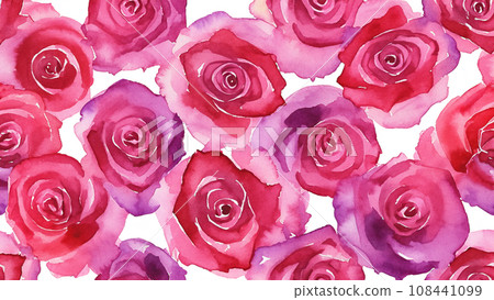 Illustration of many roses in watercolor style Illustration of many roses in watercolor style 108441099