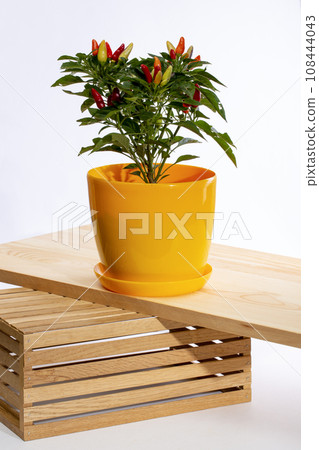 Bush of indoor decorative paper on wooden board 108444043