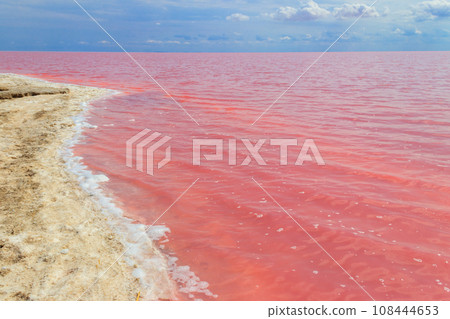 View of the pink salty Syvash lake in Kherson region, Ukraine View of the pink salty Syvash lake in Kherson region, Ukraine 108444653