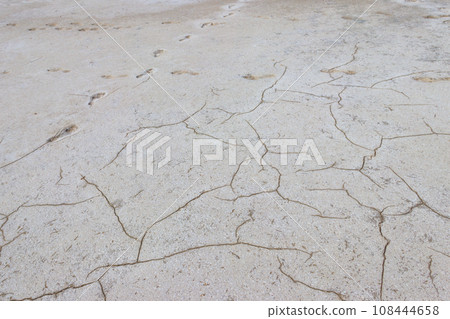 Natural salt crystal texture, macro, close-up. Salty lake background 108444658