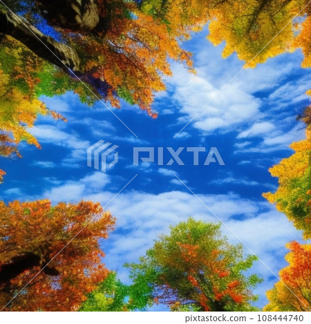 秋天的天空和秋天的樹葉③ 秋天的天空和秋天的樹葉③ 108444740