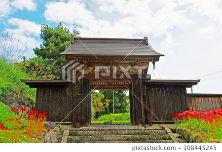 山形縣、寒河江市、國家歷史遺址、本山慈恩寺、上院前盛開的彼岸花 山形縣、寒河江市、國家歷史遺址、本山慈恩寺、上院前盛開的彼岸花 108445245