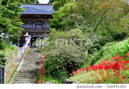 山形縣、寒河江市、國家歷史遺址、本山慈恩寺、正門前盛開的彼岸花 108445283