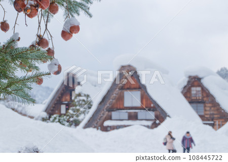 Gassho-zukuri village Shirakawa-go winter scenery of frozen persimmon fruits and snow 108445722
