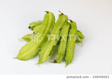 烏里尊豆 烏里尊豆 108446081