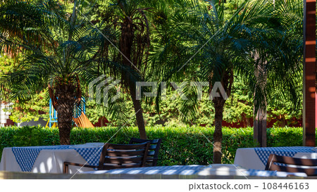 A shot of a Greek-style restaurant, with tables with tablecloths in the foreground and palm trees creating shadows in the background. 108446163