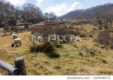 Akagi Shirakaba Farm Gunma Prefecture Akagi Shirakaba Farm Gunma Prefecture 108446678