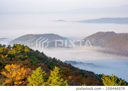 從高津山看到的被雲海包圍的風景 從高津山看到的被雲海包圍的風景 108446876