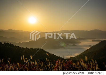 從高津山看到的被雲海包圍的風景 從高津山看到的被雲海包圍的風景 108446979