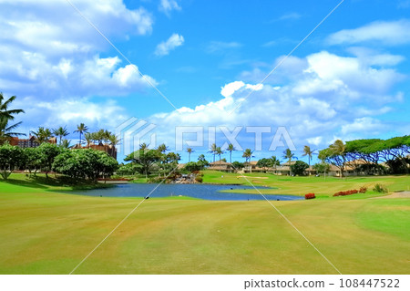 Hawaii (Oahu) Holiday (Golf Life) Hawaii (Oahu) Holiday (Golf Life) 108447522