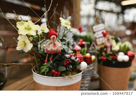 Christmas composition with plants in a pot 108447817