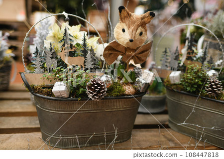 Christmas composition with plants in a pots 108447818