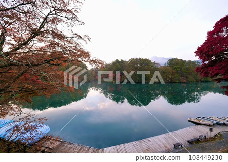 [福島]五色沼湖的秋葉（黃葉） 108449230