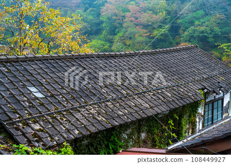 Beautiful autumn scenery of Maga Onsen in Maniwa City, Okayama Prefecture, Japan 108449927