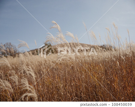山中湖全景平台(關東富士見百景) 山中湖全景平台(關東富士見百景) 108450039