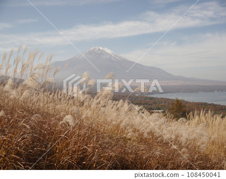 山中湖全景平台(關東富士見百景) 山中湖全景平台(關東富士見百景) 108450041