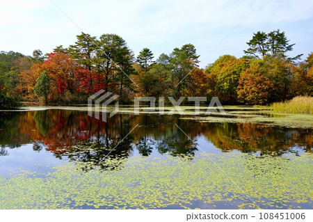[Fukushima] Swamp around Lake Hibara (yellow leaves) 108451006