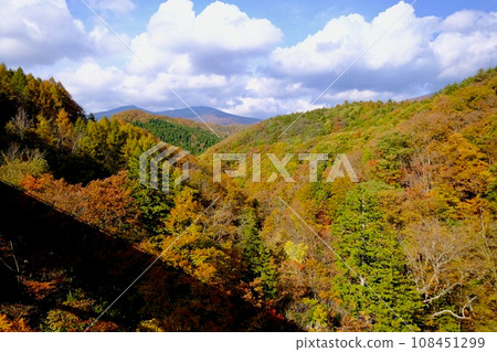 [福島]中津川溪谷的秋葉 108451299