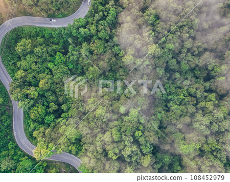Aerial top view of green forest and highway road. Drone view of green trees and morning fog. Green trees background for carbon neutrality and net zero emissions concept. Sustainable green environment. 108452979