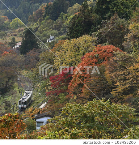 Aizu Railway of autumn leaves 108453200