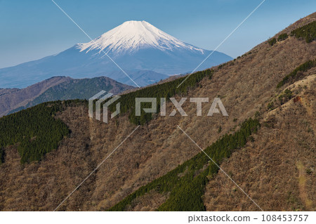 早春從丹澤表嶺看到的富士山和大倉嶺 108453757