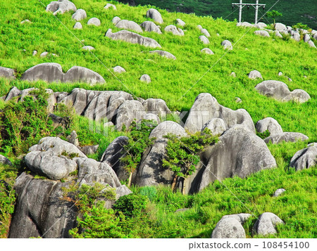 平尾台與羊的風景 108454100
