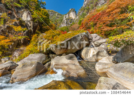 Autumn Shosenkyo (Yamanashi Prefecture) 108454644