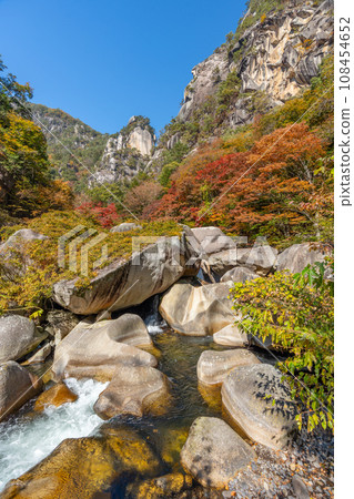 Autumn Shosenkyo (Yamanashi Prefecture) 108454652