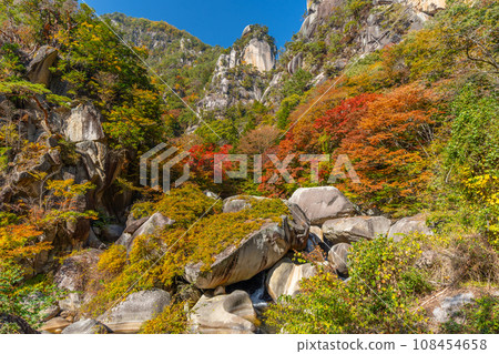 Autumn Shosenkyo (Yamanashi Prefecture) 108454658