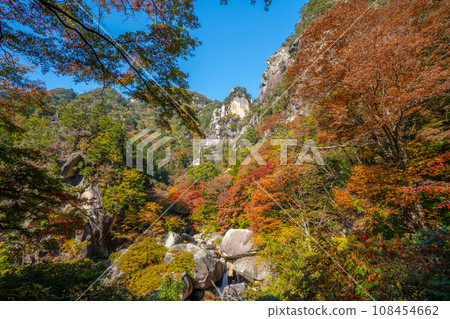 Autumn Shosenkyo (Yamanashi Prefecture) 108454662