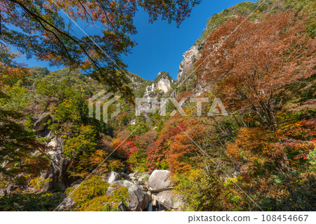 Autumn Shosenkyo (Yamanashi Prefecture) 108454667
