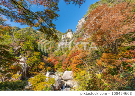 Autumn Shosenkyo (Yamanashi Prefecture) 108454668