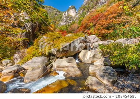 Autumn Shosenkyo (Yamanashi Prefecture) 108454683