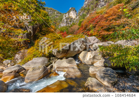 Autumn Shosenkyo (Yamanashi Prefecture) Autumn Shosenkyo (Yamanashi Prefecture) 108454684