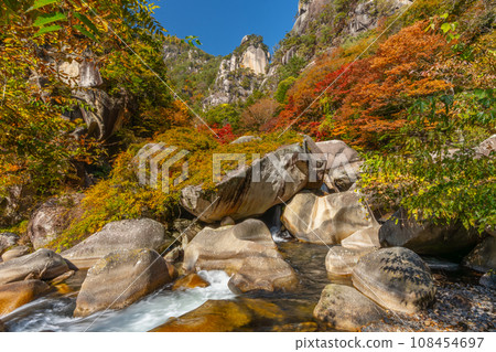 Autumn Shosenkyo (Yamanashi Prefecture) 108454697