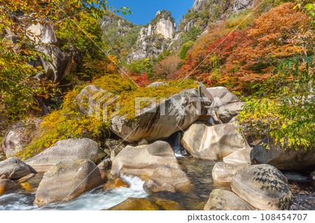 Autumn Shosenkyo (Yamanashi Prefecture) 108454707