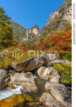 Autumn Shosenkyo (Yamanashi Prefecture) 108454720