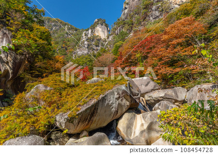 Autumn Shosenkyo (Yamanashi Prefecture) 108454728