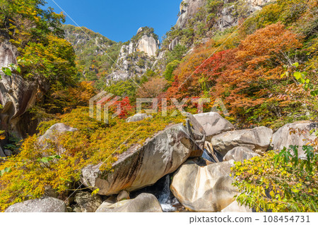 Autumn Shosenkyo (Yamanashi Prefecture) 108454731