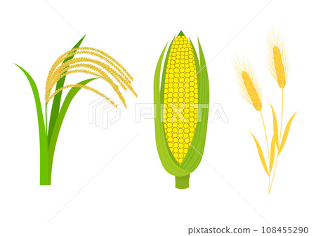 世界三大糧食：稻米、玉米、小麥 108455290