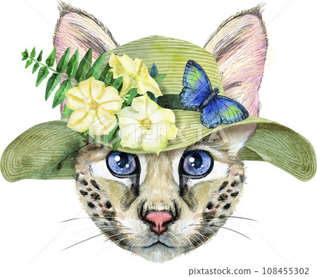 Lovely closeup portrait Savannah cat in summer hat with flowers and butterfly. Hand drawn water colour painting on white background Lovely closeup portrait Savannah cat in summer hat with flowers and butterfly. Hand drawn water colour painting on white background 108455302