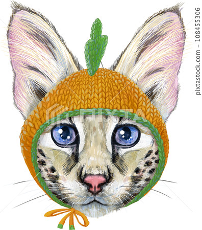 Lovely closeup portrait Savannah cat in a carrot hat. Hand drawn water colour painting on white background 108455306
