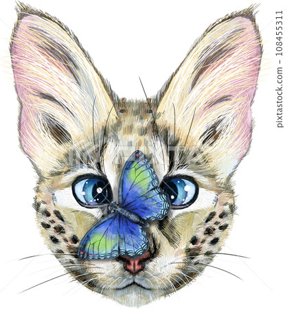 Lovely closeup portrait Savannah cat with butterfly. Hand drawn water colour painting on white background Lovely closeup portrait Savannah cat with butterfly. Hand drawn water colour painting on white background 108455311