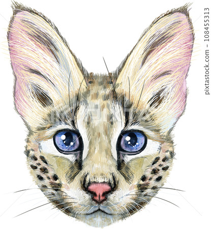 Lovely closeup portrait Savannah cat. Hand drawn water colour painting on white background 108455313