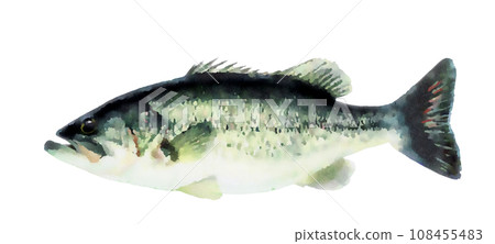 水彩巴士 水彩巴士 108455483